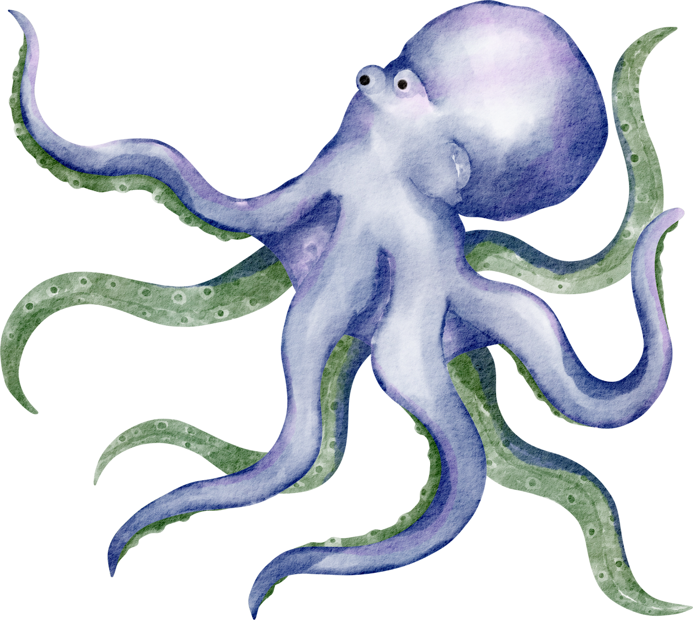 watercolor octopus